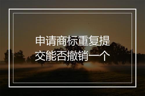 申请商标重复提交能否撤销一个