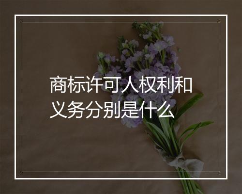 商标许可人权利和义务分别是什么