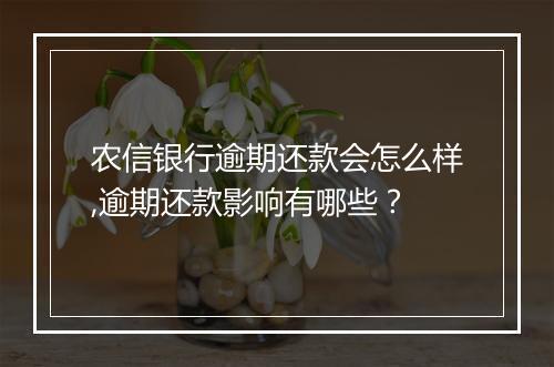农信银行逾期还款会怎么样,逾期还款影响有哪些？