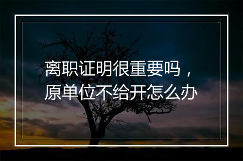 离职证明很重要吗，原单位不给开怎么办