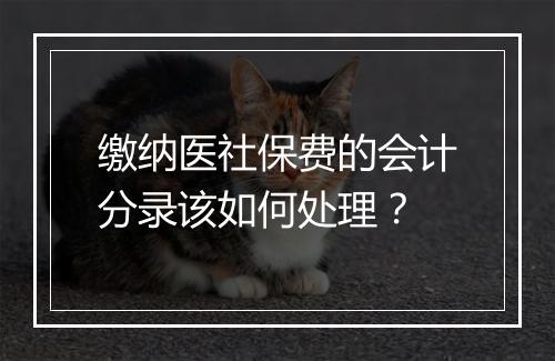 缴纳医社保费的会计分录该如何处理？