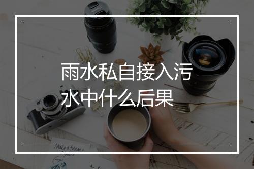 雨水私自接入污水中什么后果
