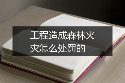 工程造成森林火灾怎么处罚的
