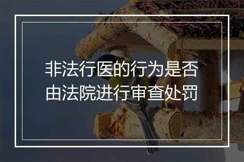 非法行医的行为是否由法院进行审查处罚