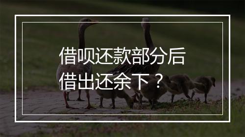 借呗还款部分后借出还余下？