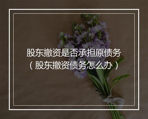 股东撤资是否承担原债务（股东撤资债务怎么办）