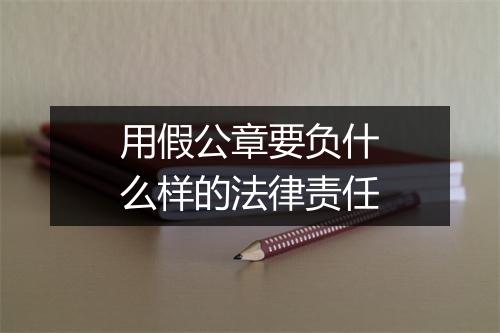 用假公章要负什么样的法律责任