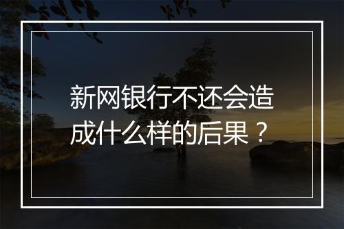 新网银行不还会造成什么样的后果？