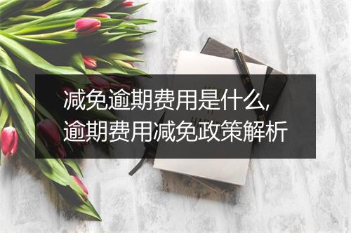 减免逾期费用是什么,逾期费用减免政策解析