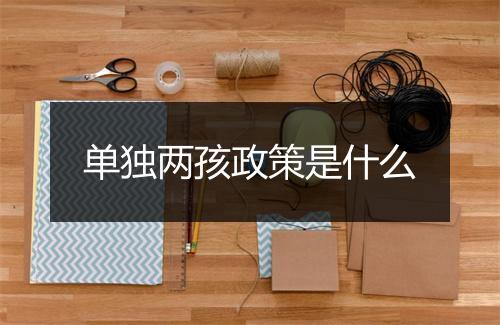 单独两孩政策是什么