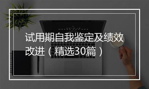 试用期自我鉴定及绩效改进（精选30篇）