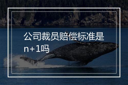 公司裁员赔偿标准是n+1吗