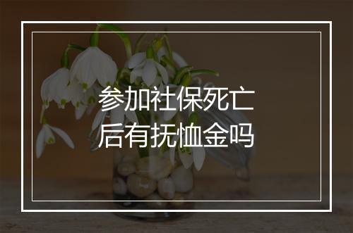 参加社保死亡后有抚恤金吗