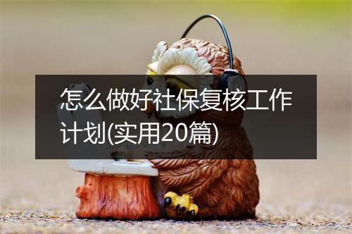 怎么做好社保复核工作计划(实用20篇)