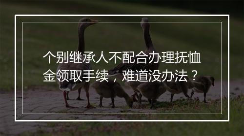 个别继承人不配合办理抚恤金领取手续，难道没办法？