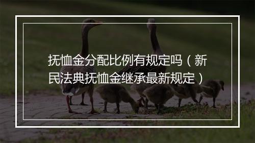 抚恤金分配比例有规定吗（新民法典抚恤金继承最新规定）