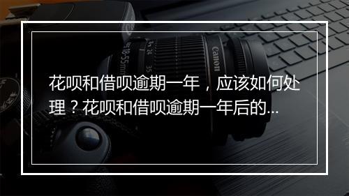 花呗和借呗逾期一年，应该如何处理？花呗和借呗逾期一年后的后果与解决办法
