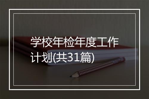 学校年检年度工作计划(共31篇)