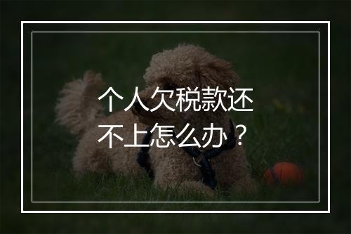 个人欠税款还不上怎么办？