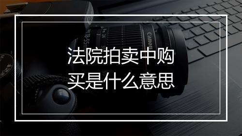 法院拍卖中购买是什么意思