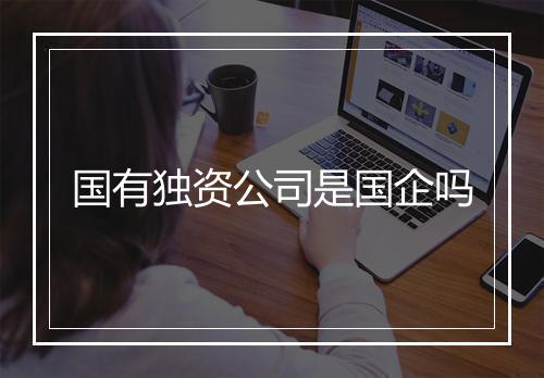 国有独资公司是国企吗