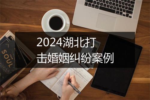 2024湖北打击婚姻纠纷案例