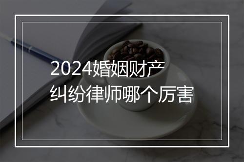 2024婚姻财产纠纷律师哪个厉害