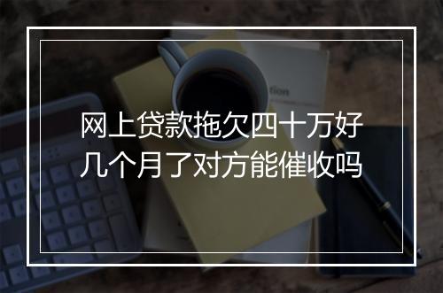 网上贷款拖欠四十万好几个月了对方能催收吗