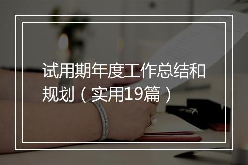 试用期年度工作总结和规划（实用19篇）