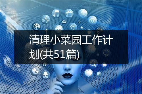 清理小菜园工作计划(共51篇)