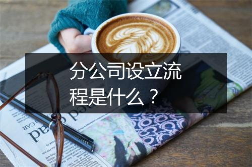 分公司设立流程是什么？