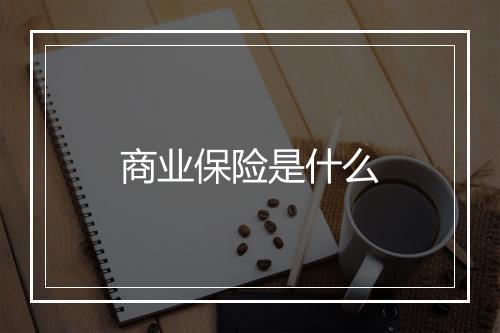 商业保险是什么