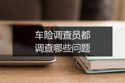 车险调查员都调查哪些问题