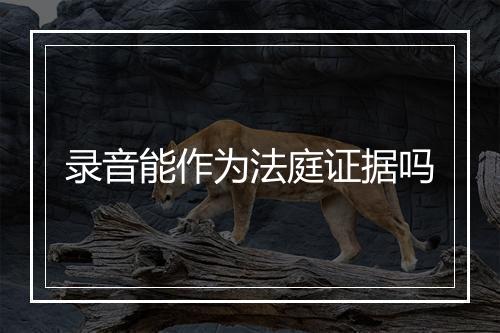 录音能作为法庭证据吗