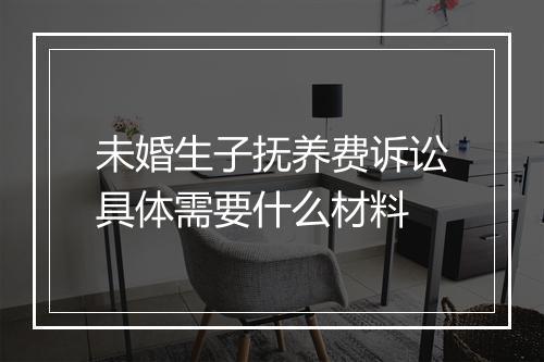 未婚生子抚养费诉讼具体需要什么材料