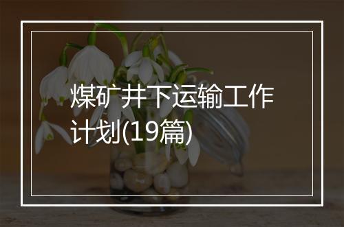 煤矿井下运输工作计划(19篇)