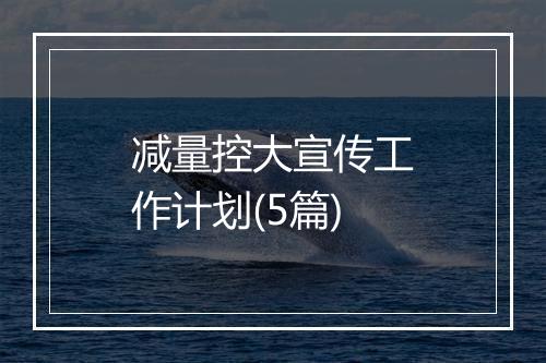 减量控大宣传工作计划(5篇)