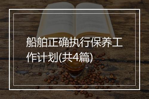 船舶正确执行保养工作计划(共4篇)