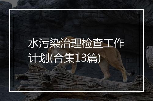 水污染治理检查工作计划(合集13篇)