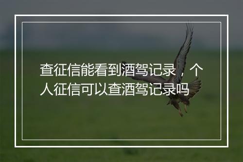 查征信能看到酒驾记录，个人征信可以查酒驾记录吗