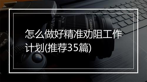 怎么做好精准劝阻工作计划(推荐35篇)