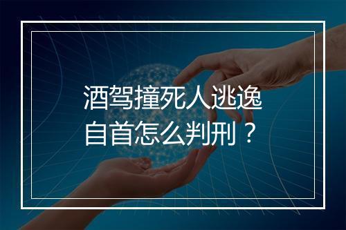 酒驾撞死人逃逸自首怎么判刑？