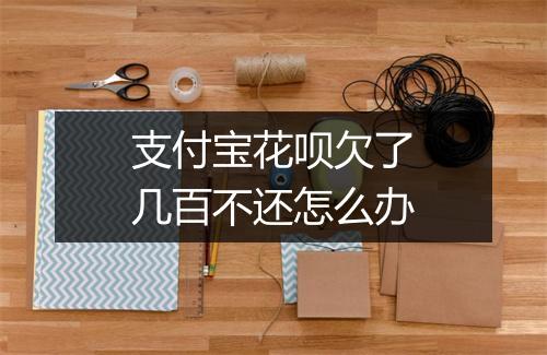 支付宝花呗欠了几百不还怎么办