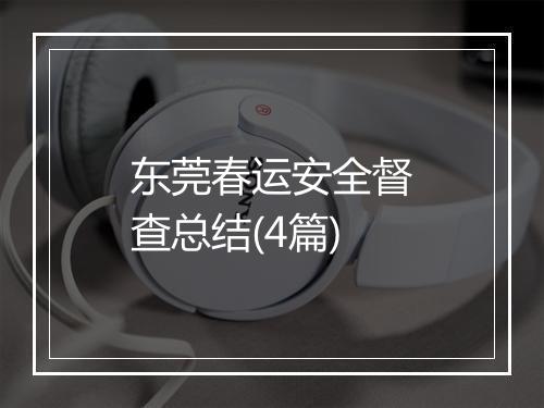 东莞春运安全督查总结(4篇)