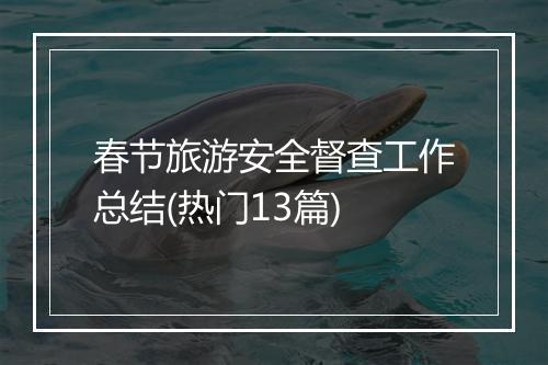 春节旅游安全督查工作总结(热门13篇)