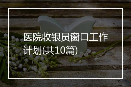 医院收银员窗口工作计划(共10篇)