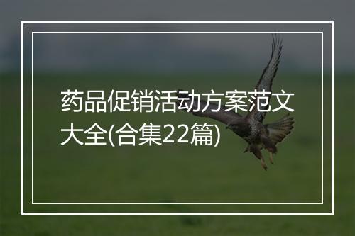 药品促销活动方案范文大全(合集22篇)
