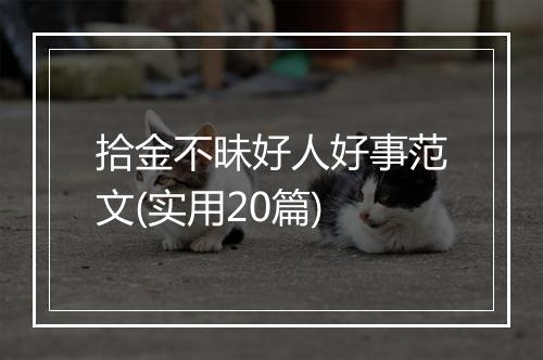 拾金不昧好人好事范文(实用20篇)