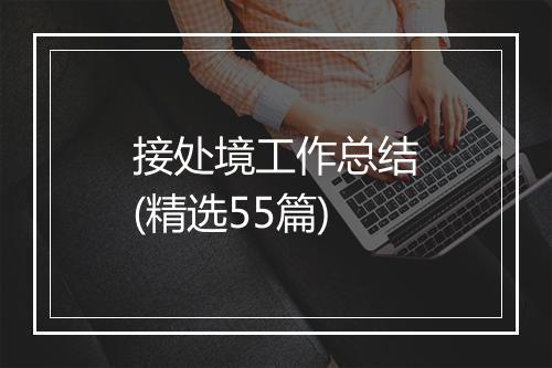 接处境工作总结(精选55篇)