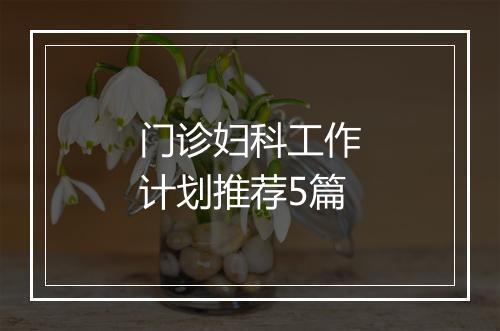门诊妇科工作计划推荐5篇